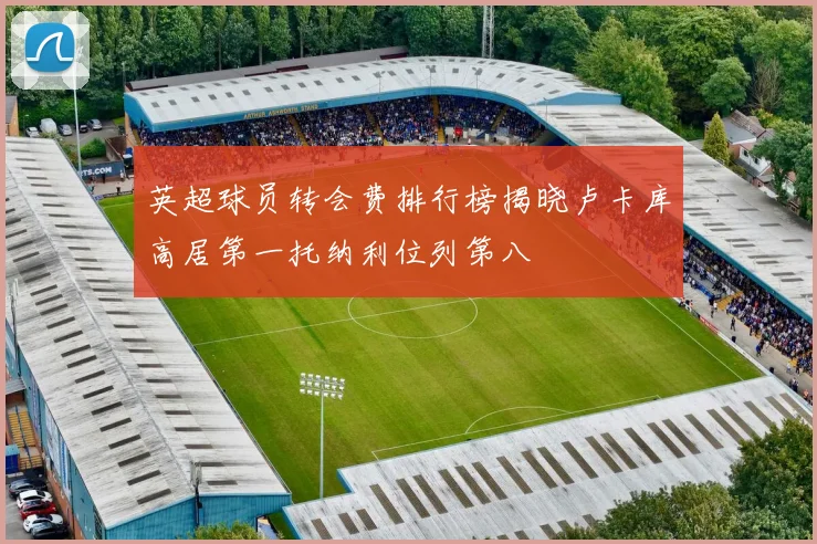 英超球员转会费排行榜揭晓卢卡库高居第一托纳利位列第八